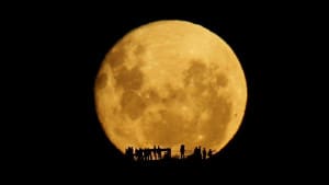 Full Moon Silhouettes is a real time video of the moon rising over the Mount Victoria Lookout in Wellington, New Zealand. People had gathered up there this night to get the best view possible of the moon rising. I captured the video from 2.1km away on the other side of the city. It's something that I've been wanting to photograph for a long time now, and a lot of planning and failed attempts had taken place. Finally, during moon rise on the 28th January 2013, everything fell into place and I got my footage.